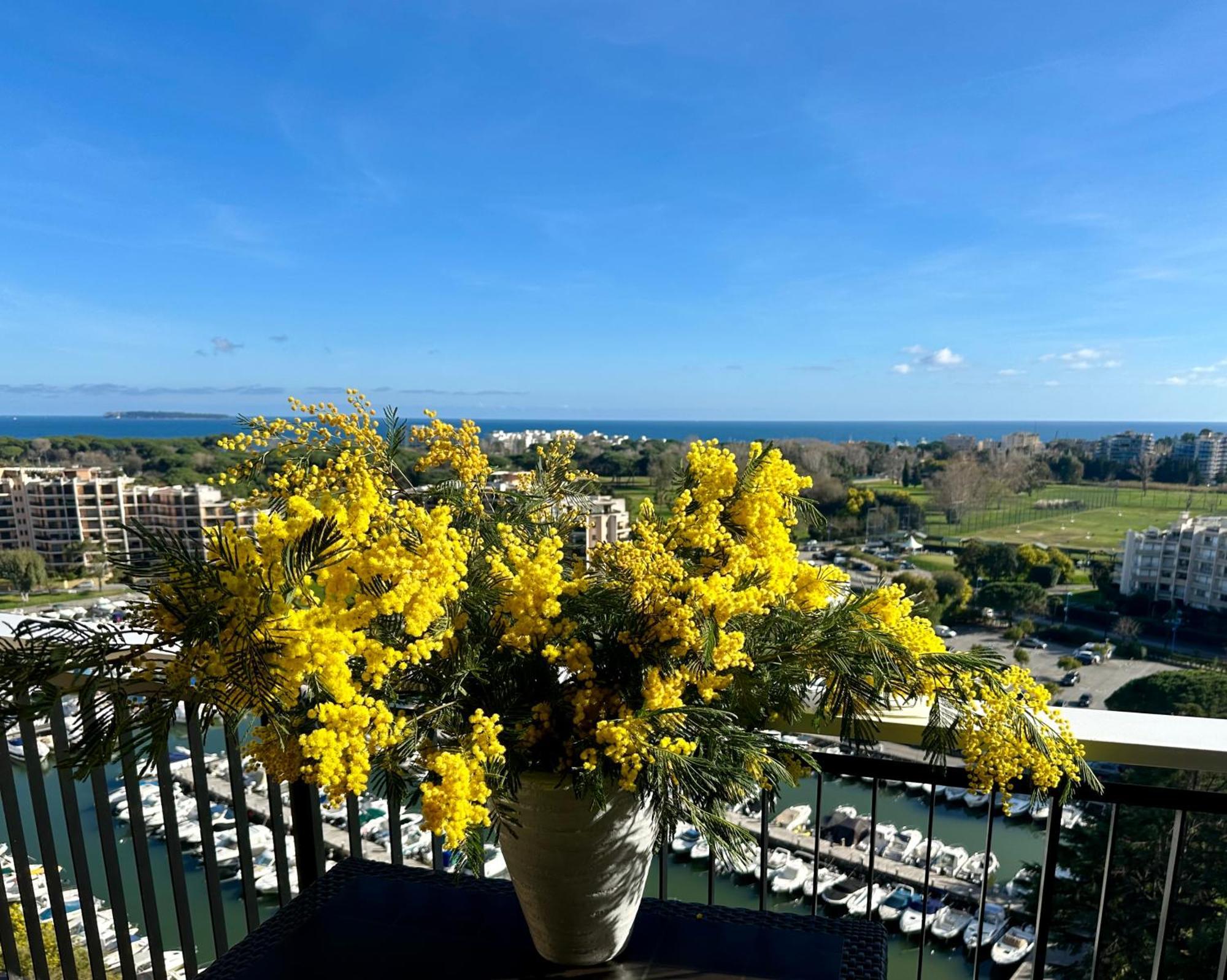 Cannes Marina Appart Hotel Mandelieu ภายนอก รูปภาพ